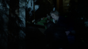 vlcsnap-2020-11-06-13h50m42s436.png