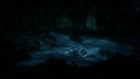 vlcsnap-2020-11-09-06h34m19s441.png