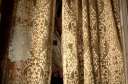 IMG_00085.png