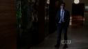 ringer104_0076.jpg