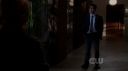 ringer104_0080.jpg