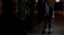 ringer104_0086.jpg