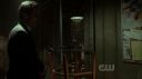 ringer106_0201.jpg