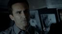 ringer108_0156.jpg