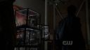 ringer110_0239.jpg