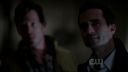 ringer110_0249.jpg