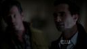 ringer110_0265.jpg