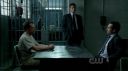 ringer112_0022.jpg