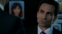 ringer116_0352.jpg