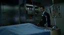 ringer116_0388.jpg