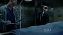 ringer116_0391.jpg