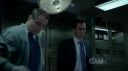 ringer116_0415.jpg