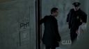 ringer118_219.jpg