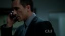 ringer118_388.jpg