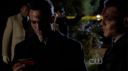 ringer118_402.jpg