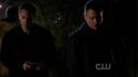 ringer118_411.jpg