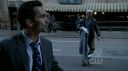 ringer119_211.jpg