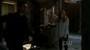 ringer119_428.jpg