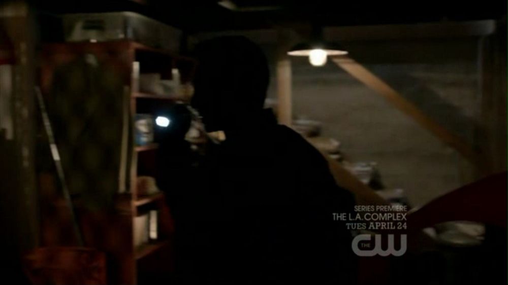 ringer120_231.jpg