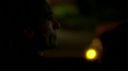 ringer120_201.jpg