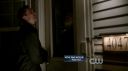 ringer120_217.jpg