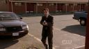ringer101_019.jpg