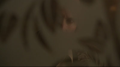 vlcsnap-2020-11-05-09h08m14s011.png