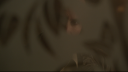 vlcsnap-2020-11-05-09h08m14s011.png