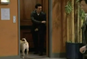 ss2x18_014.png