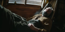 Shogun1x01257.png