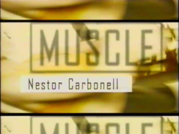 MuscleSn1x0617.png
